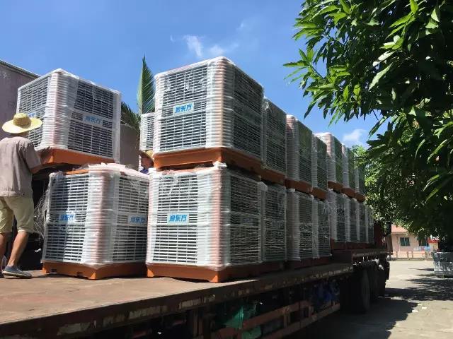 工廠車間快速降溫方法，你知道嗎？