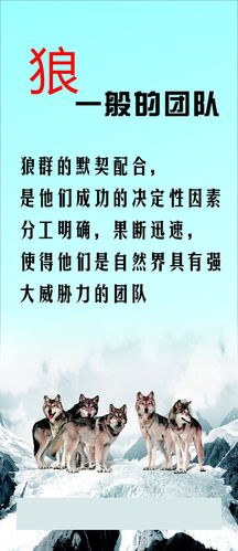 中国物联im电竞网话语权100年(中国拿到物联网话语权)